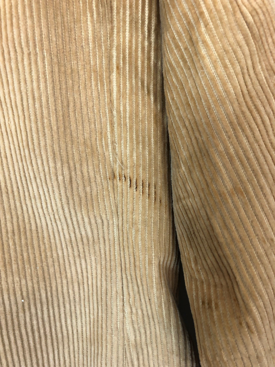 Jean Nicole Corduroy Blazer