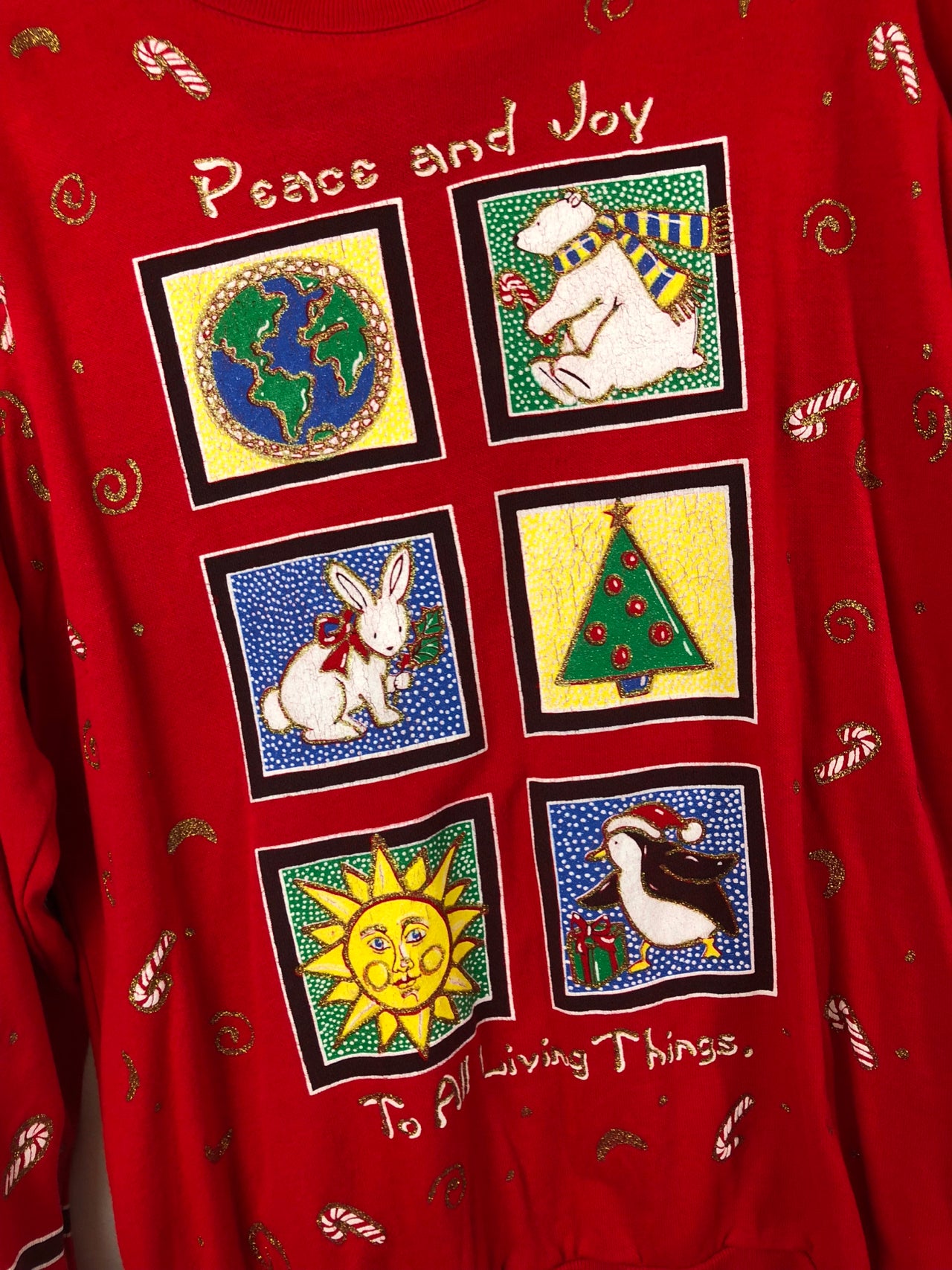 Peace and Joy Sweatshirt