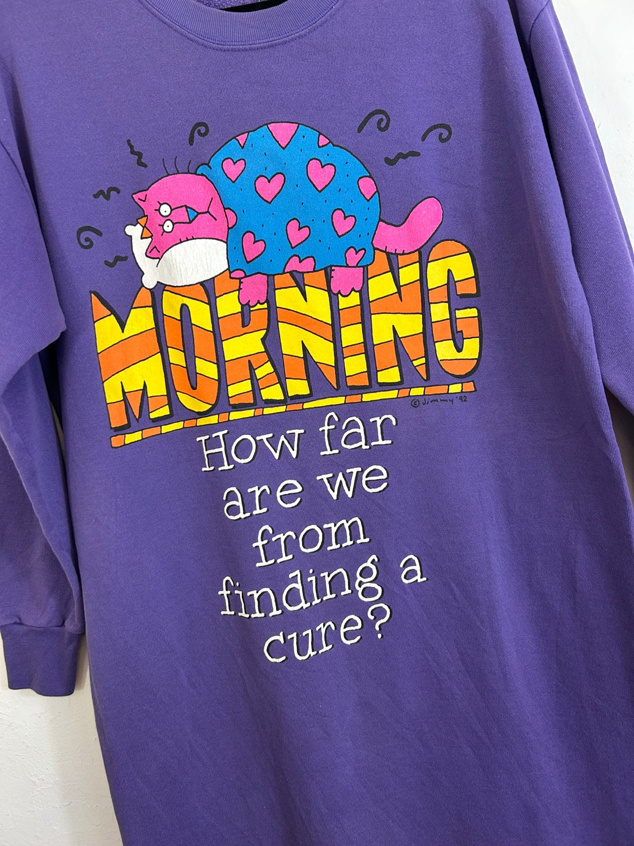 Beth Michaels '92 Cat Sweatshirt Dress ("Morning. How Far Are We From Finding a Cure?")