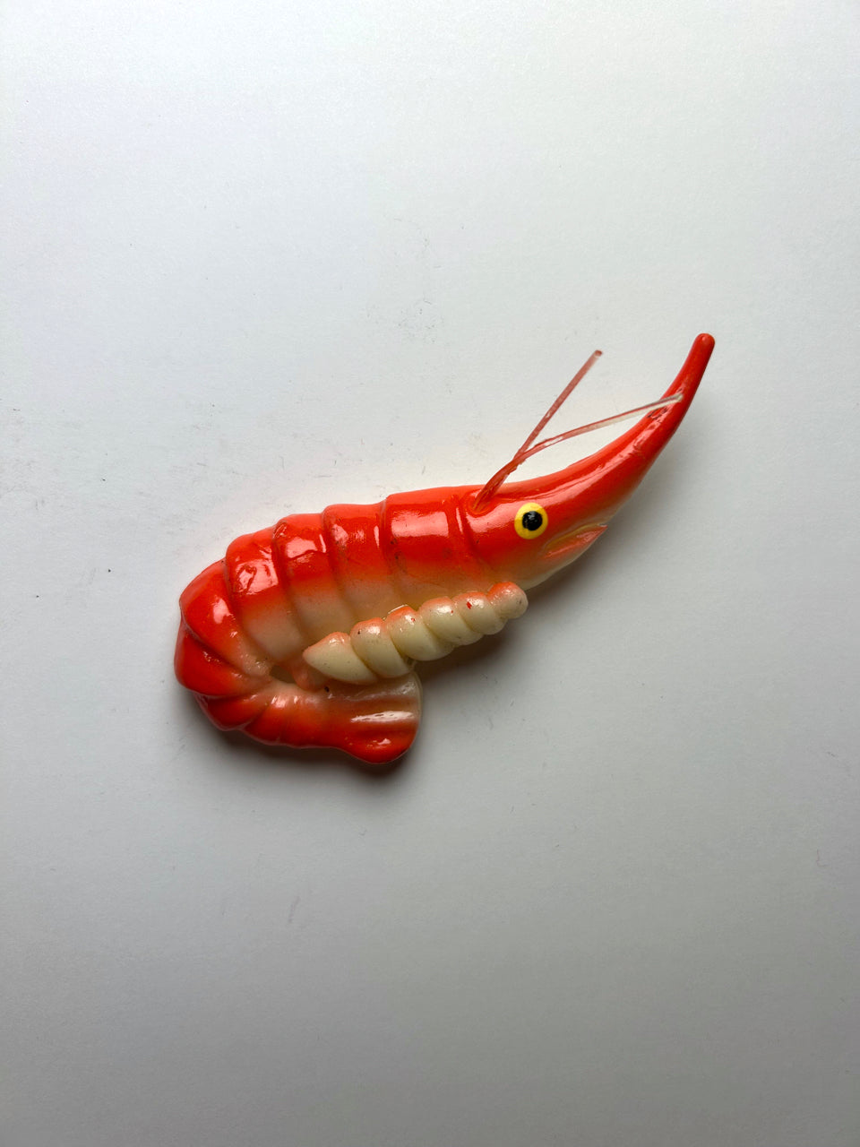 Magnet - Shrimp