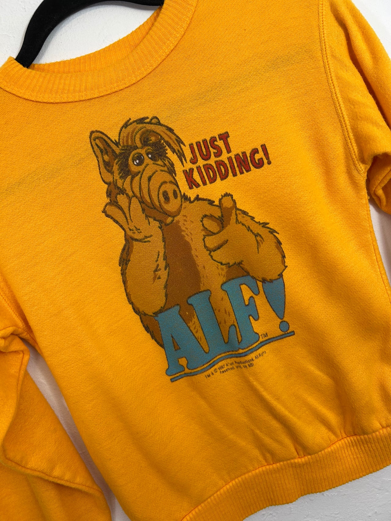 Kids ALF Just Kidding! Sweatshirt
