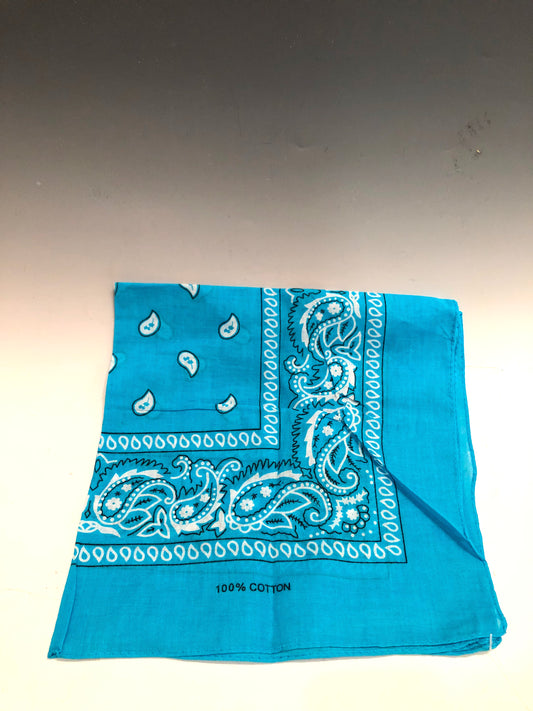 Blue Bandana