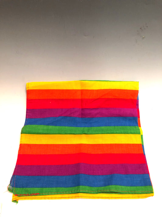 Pride Flag Bandana